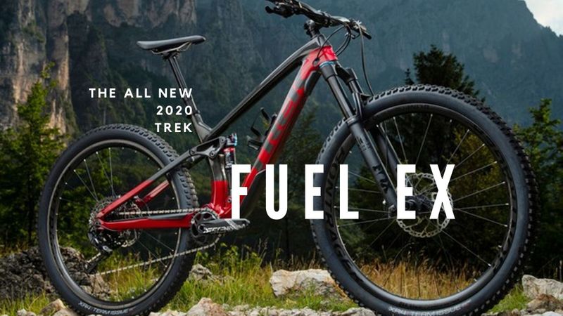 The All New 2020 Fuel EX Mellow Johnny s Bike Shop